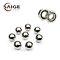 Stainless Steel Ball